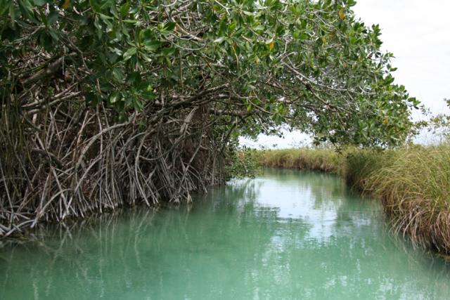 Another turn in the canal… and with each turn, you hold your breath wondering what new sight or scenery will unfold before you