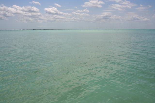 At last, the breathtaking Muyil lagoon.  We cross in what sems like a few moments and dock on the other side.